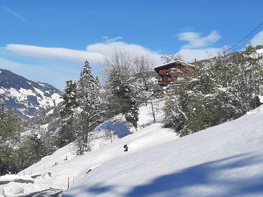 Alpine With Exceptional View Mayrhofen